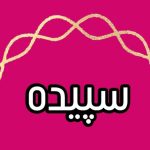 دانلود آهنگ سپیده دیوانه شدم