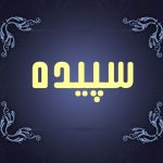 دانلود آهنگ سپیده دوست دارم