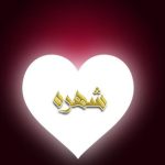 دانلود آهنگ شهره برگرد
