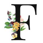 دانلود آهنگ فتانه سبزه کشمیر