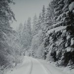 دانلود آهنگ شکیلا چه خواهد شد