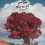 دانلود آهنگ سوسن آخ به دلم