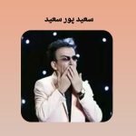 دانلود آهنگ سعید پورسعید دلگیر