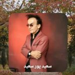 دانلود آهنگ سعید پورسعید انتظار