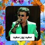 دانلود آهنگ سعید پورسعید تنهایی دانلود آهنگ سعید پورسعید تنهایی