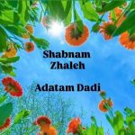 دانلود آهنگ شبنم ژاله عادتم دادی دانلود آهنگ شبنم ژاله عادتم دادی