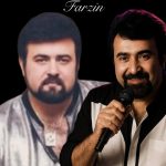 دانلود آهنگ فرزین باور نکردی دانلود آهنگ فرزین باور نکردی