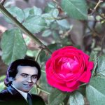 دانلود آهنگ ایرج مهدیان ای پرنده