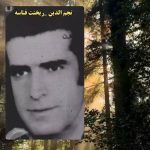 دانلود آهنگ نجم الدین ریختت قناصه