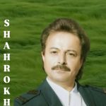 دانلود آهنگ شاهرخ دل دیوونه دانلود آهنگ شاهرخ دل دیوونه