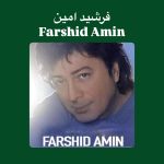 دانلود آهنگ فرشید امین رفتی برو