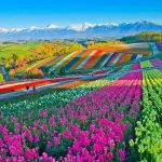 دانلود آهنگ گیتا بنفشه دانلود آهنگ گیتا بنفشه