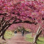 دانلود آهنگ گیتا فرشته دانلود آهنگ گیتا فرشته