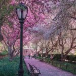 دانلود آهنگ گیتا عزیزم