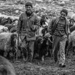 دانلود آهنگ بعد ده سال شوپانی
