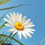 دانلود آهنگ دلم‌ میخواد بوست کنم