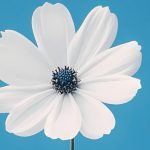 دانلود آهنگ حالا میای میبینی چه جای نازنینی