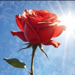 دانلود آهنگ تو‌مگر همون نبودی