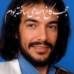 دانلود آهنگ عجب کاخ امیدی ساخته بودم