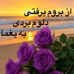 دانلود آهنگ از بروم رفتی دلم بردی به یغما