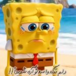 دانلود آهنگ دلم تنگه واسه تو آره شدیدا با صدای باب اسفنجی