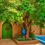 دانلود آهنگ درخت توت لیلا دانه کرده