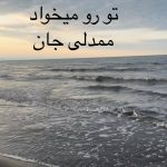دانلود آهنگ تو رو میخواد ممدلی جان