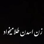 دانلود آهنگ زن اسدن طلا میخواد زنجیر و شیر بها میخواد