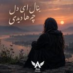دانلود آهنگ بنال ای دل چه ها دیدی وفا کردی جفا دیدی