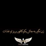 دانلود آهنگ زن نگیر به جاش یکم کافور بریز تو غذات